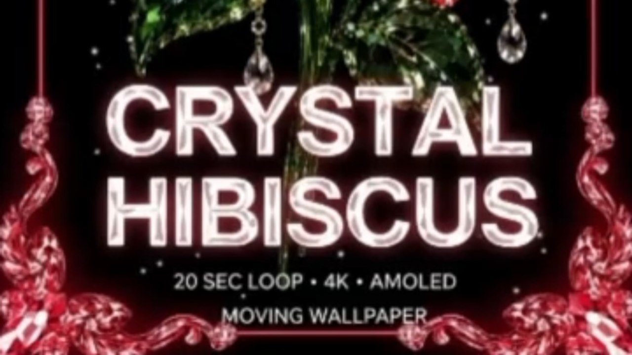 Crystal Hibiscus 🌺💎 4K AMOLED Moving Wallpaper | Red Crystal Flower | 20 Sec Loop
