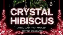 Crystal Hibiscus 🌺💎 4K AMOLED Moving Wallpaper | Red Crystal Flower | 20 Sec Loop