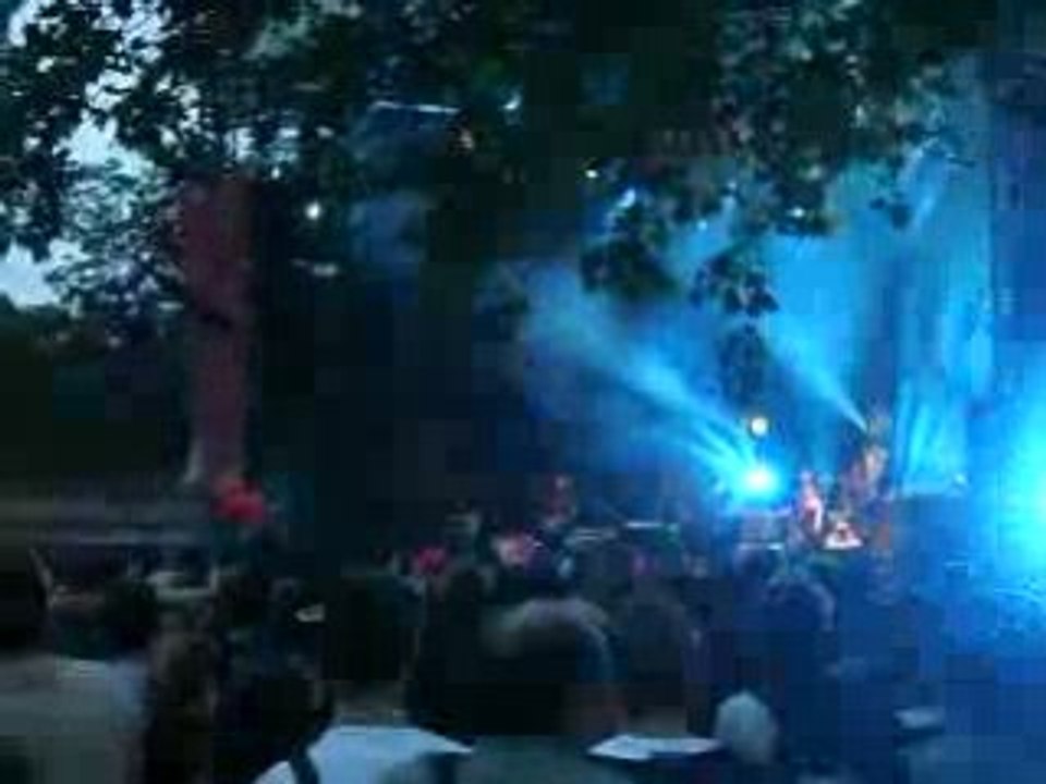 Dionysos - La métamorphose de Mister Chat @ Ardentes 2008