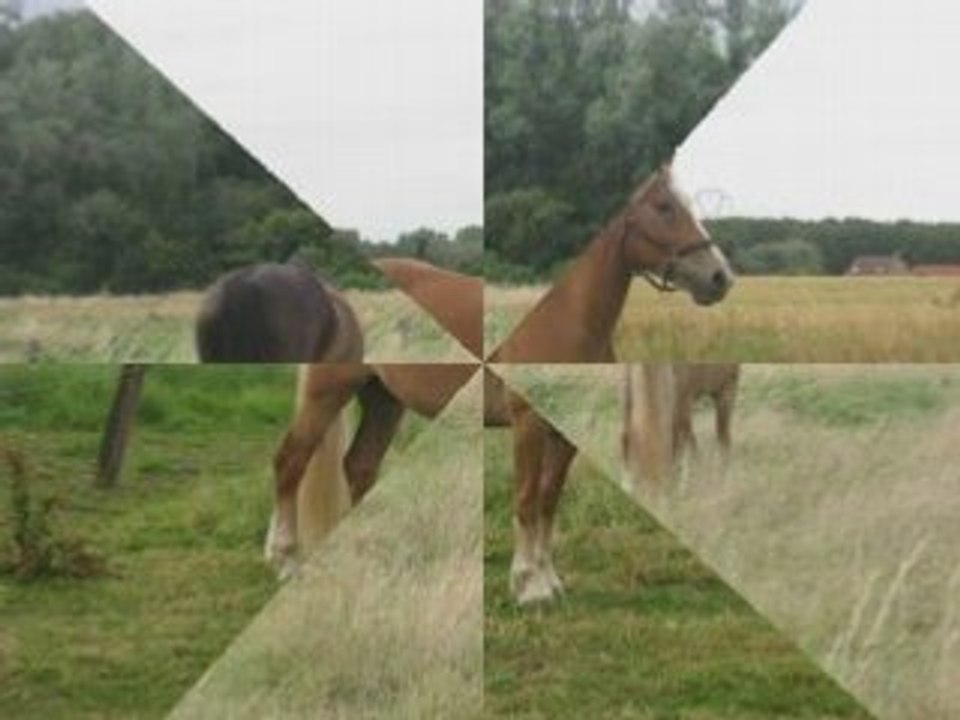 Montage Robess