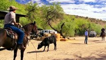 tierra de amor y coraje - capítulo 1