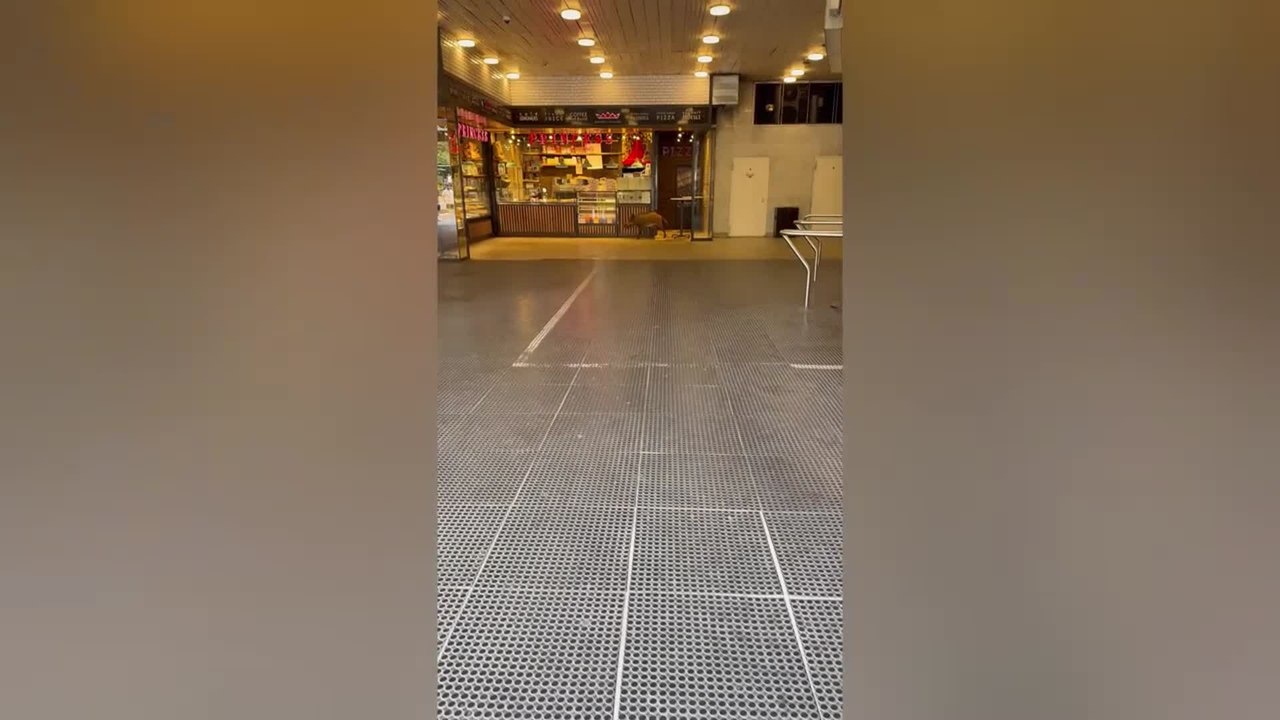 Wild Boar Stuns Commuters After Wandering Into Metro Station