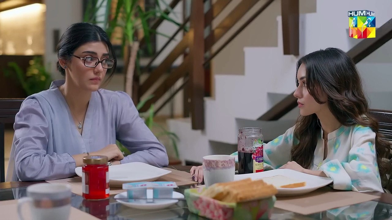Pehli Mohabbat - Episode 42 - 14th May 2025 - [ Noreen Gulwani & Ibrahim Ali Alavi ] - HUM TV