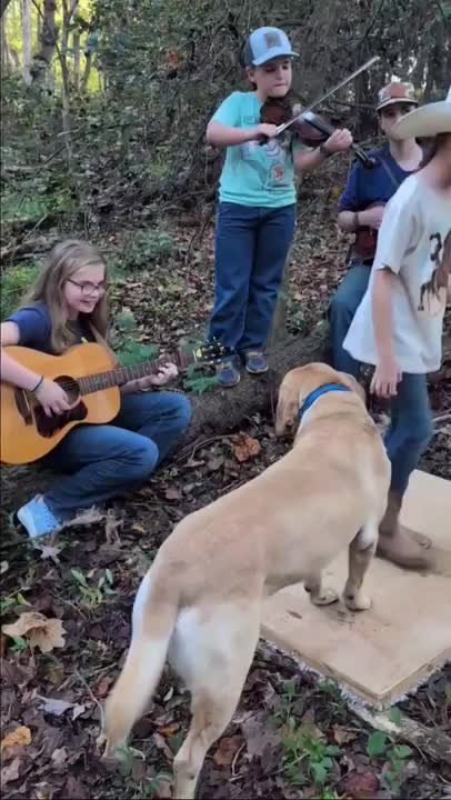Family Plays Traditional Music While Their Dog Vibes Along
