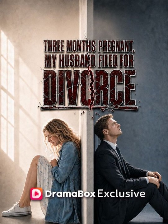 Three Months Pregnant, My Husband Filed For Divorce - Full