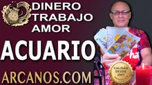 ♒ ACUARIO: Dinero, Trabajo y Amor, del 9 al 15 de agosto de 2026 (Stuart de ARCANOS.COM)