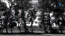 الفيلم الممنوع من العرض - إمرأة ورجل 1971- ناهد شريف -رشدى اباظه - زيزي مصطفى
