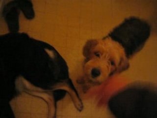 soirée chez charline