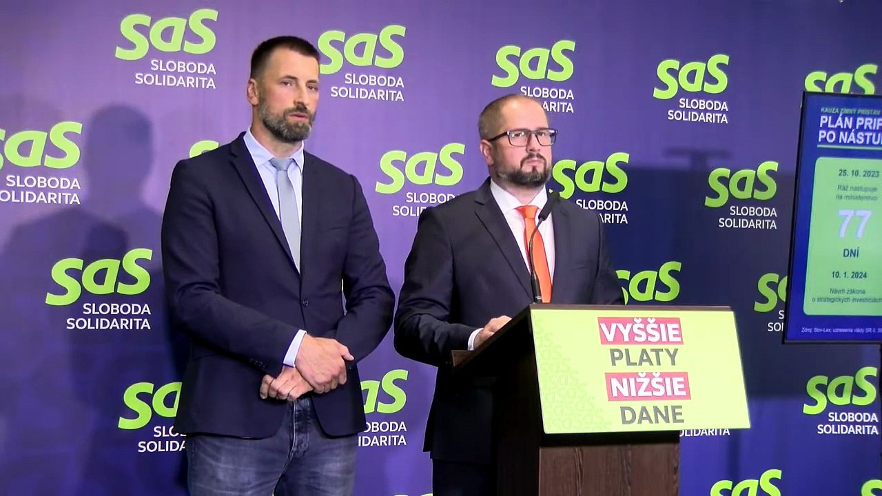ZÁZNAM: SaS žiada zverejnenie zmlúv súvisiacich so Zimným prístavom a kontrolu NKÚ