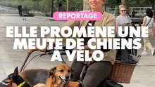 Reportage : Elle promène une meute de chiens à vélo