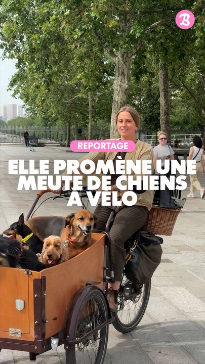 Reportage : Elle promène une meute de chiens à...