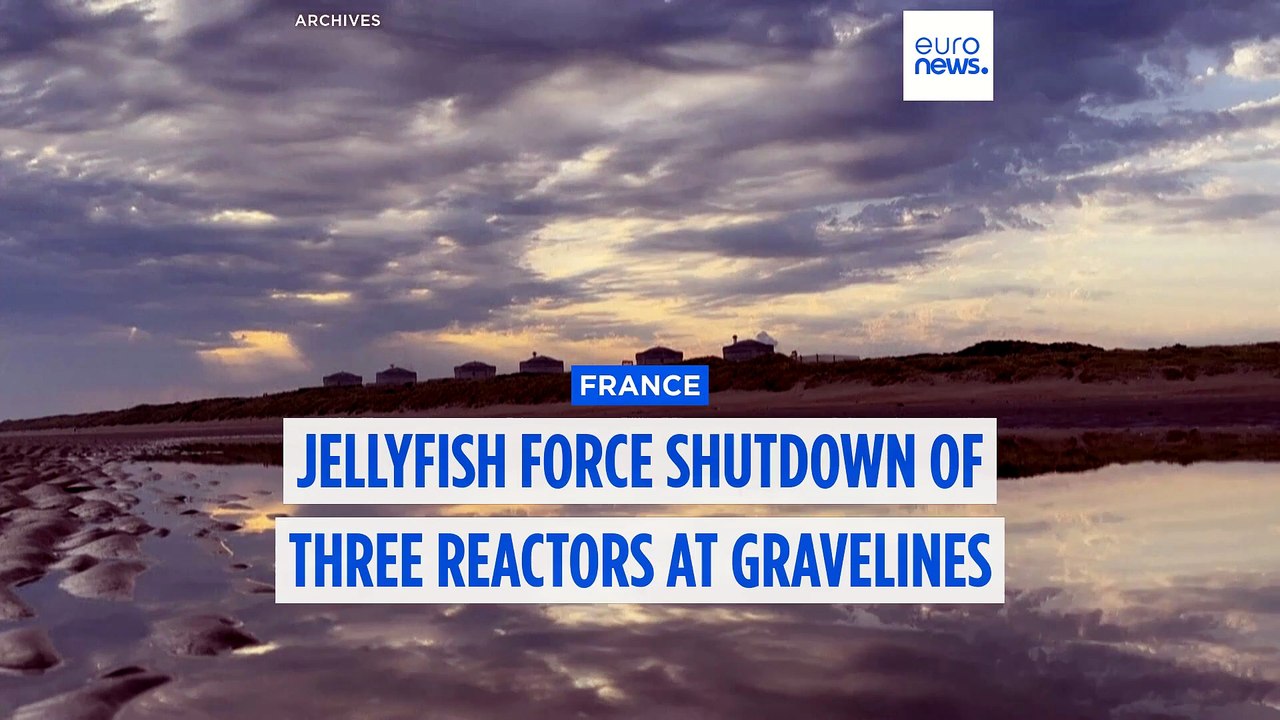 Jellyfish force shutdown of three reactors at F...