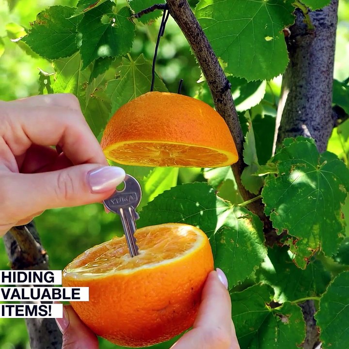 Top secret hacks for hiding important items! 🔍✨