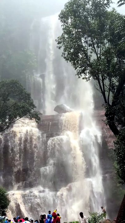 The Raw Beauty of Jhari Falls Chikmagalur 🏞️