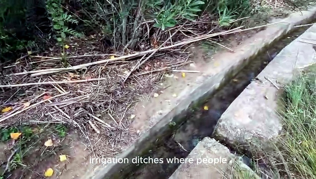 Secrets of the Spanish Mountains That Nobody Tells You 🤐