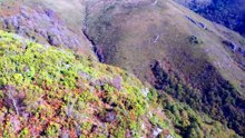 🛩️ Volo Integrale: 25 Minuti Nel Campo de La Bobia III (Asturie) 4K #28 🏞️