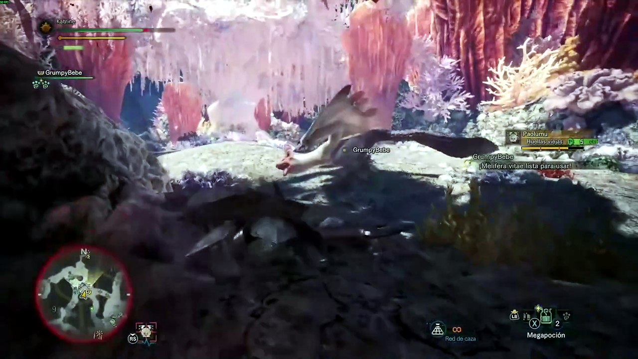 MHW  paolumu