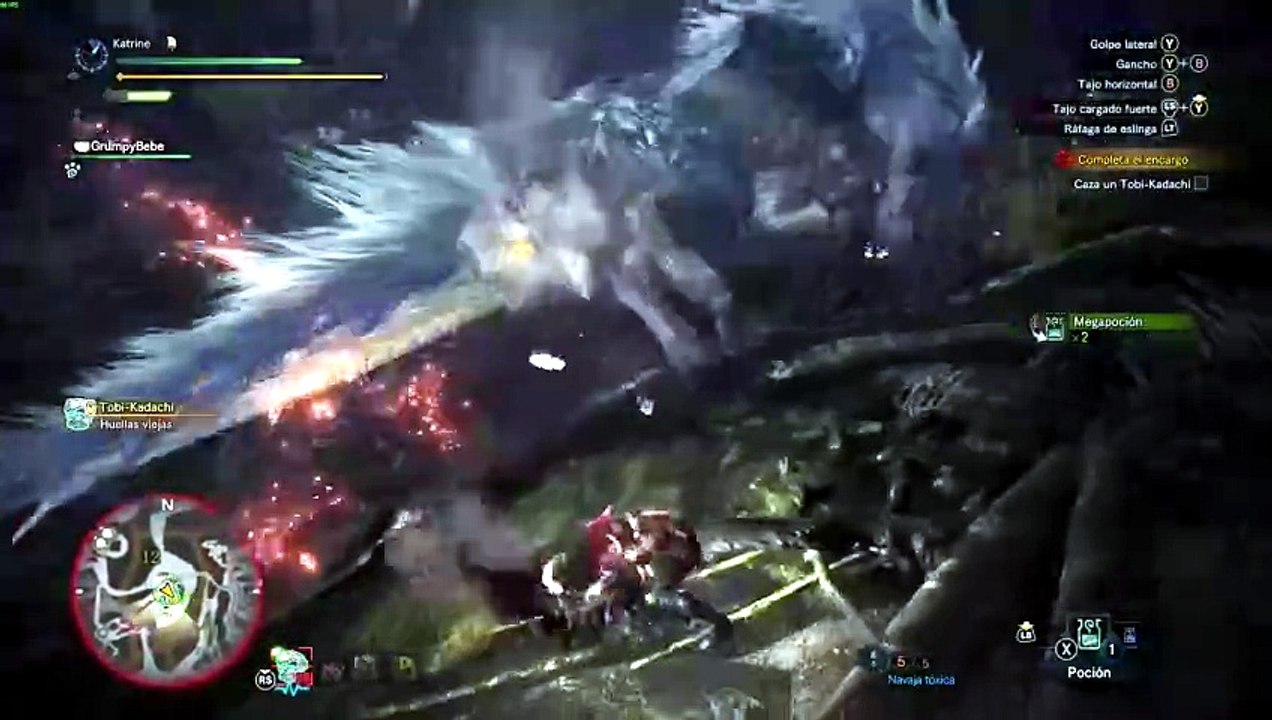 MHW tobi-kadachi