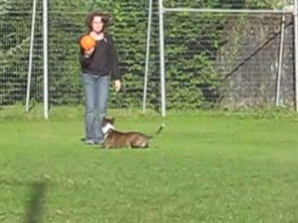 Coca et son ballon