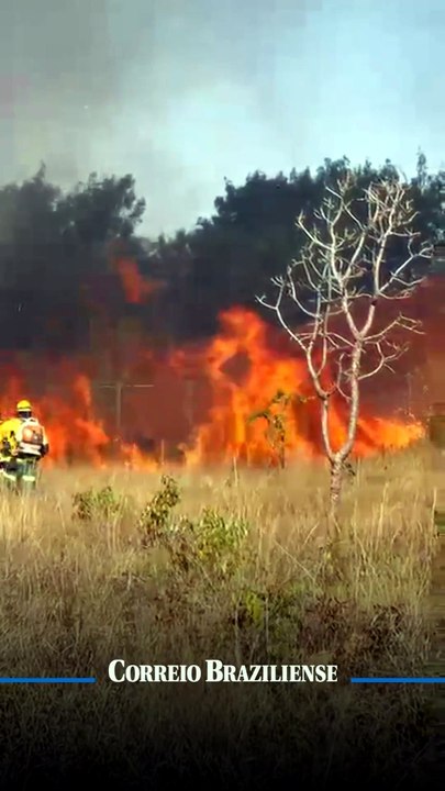 CBMDF combatendo incêndio em vegetação próxima a Boca da Mata