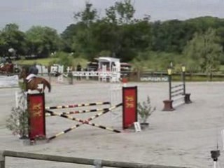 Le pin au Haras Mai 2008