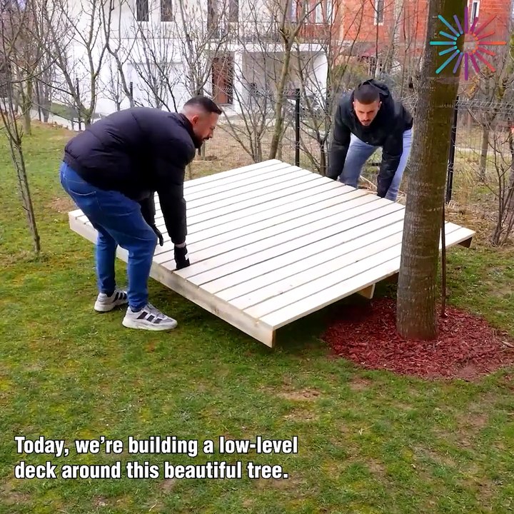 Building a low-level tree deck 🌳
