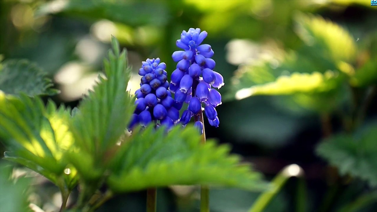 Panasonic GF3 – Still Worth Using Today? | Micr...