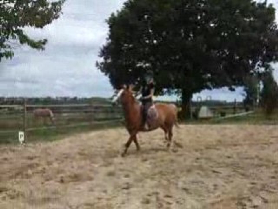 DSCF2369