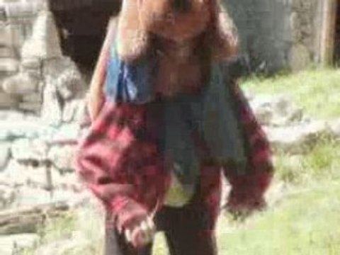 Les Chevaliers Mouchus - acte 1, La Joute.