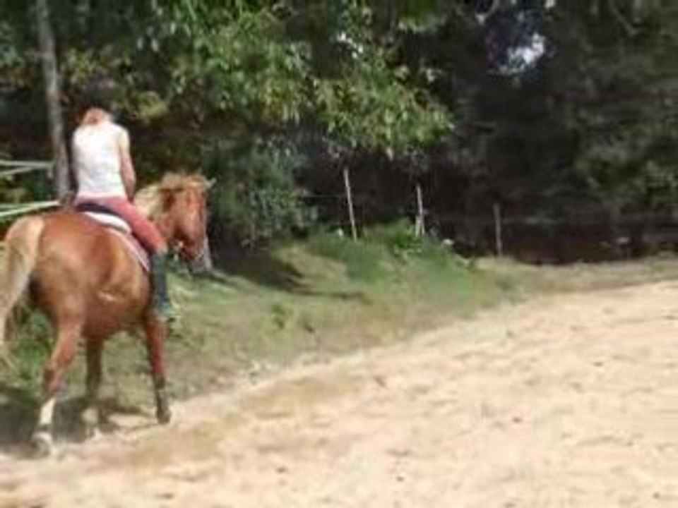 DSCF2408