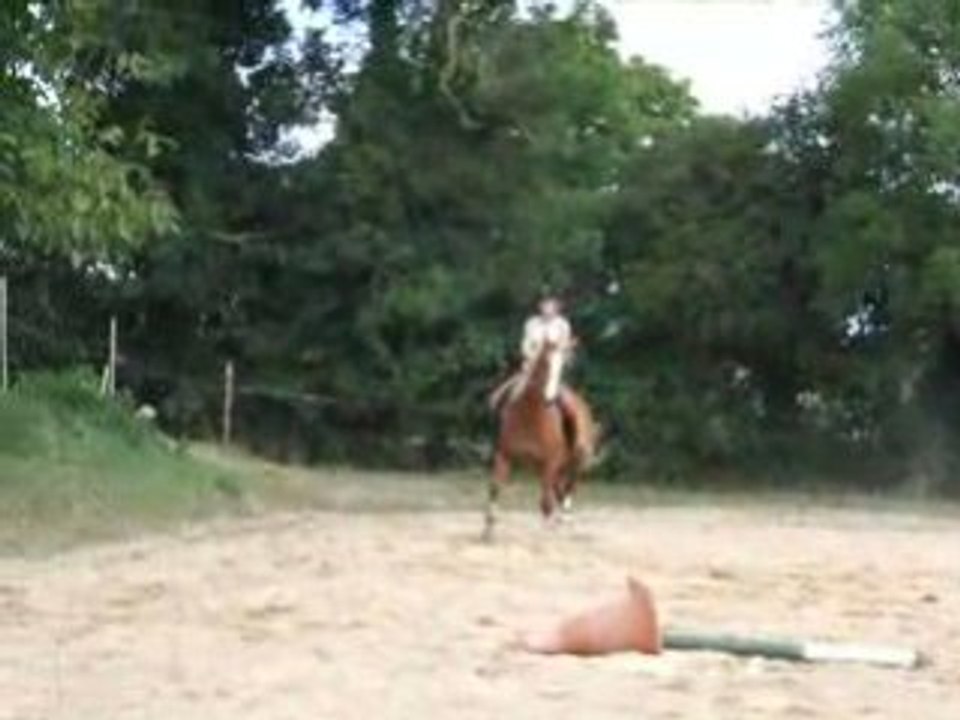 DSCF2410