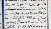 صفحة (391)