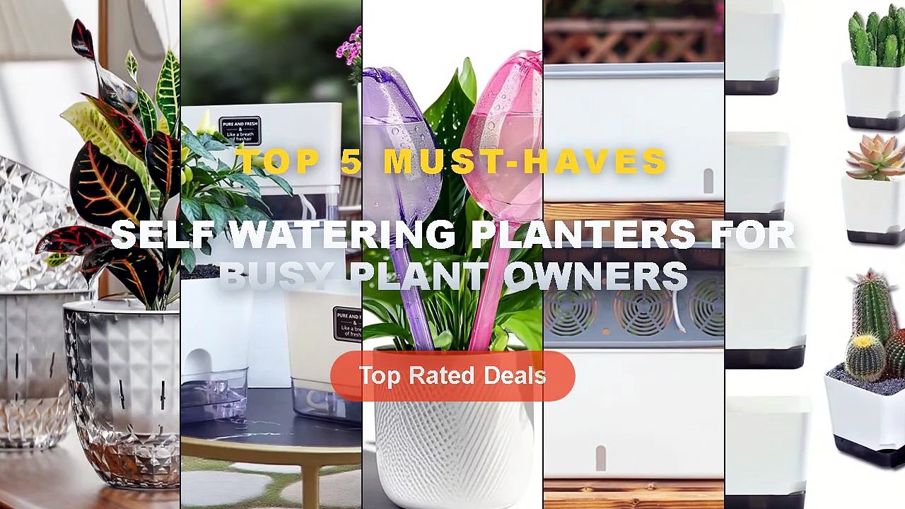 Ultimate Guide to the Best Self Watering Plante...