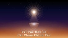 Trí tuệ đơn sơ, cái chạm chính xác