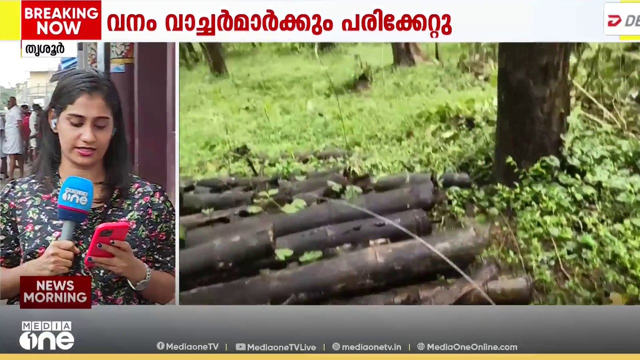 സൗരോർജ വേലി തകർത്ത് കാട്ടാന പാഞ്ഞടുത്തു; തൃശ്ശൂർ അതിരപ്പിള്ളിയിൽ ഫോറസ്റ്റ് ഓഫീസർക്ക് പരിക്ക്