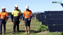 Fact vs Fiction: renewables experts address common concerns