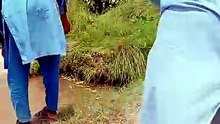 Chirra fish