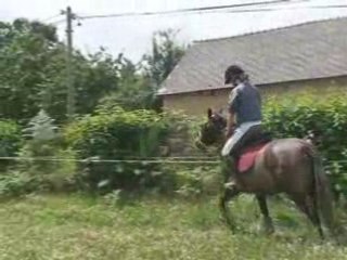 Quenzo et Norway détente 2