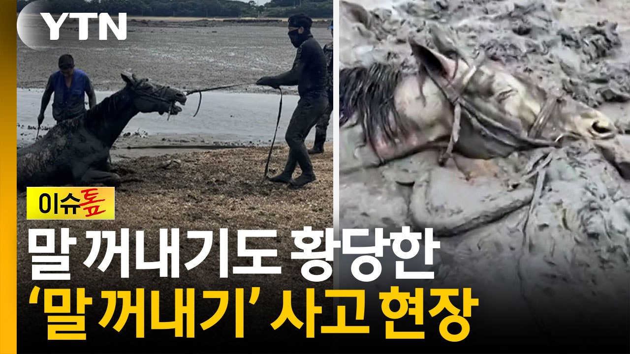 말이 안 나오는, 아니 말 나오는 사고 현장;; [이슈톺] / YTN