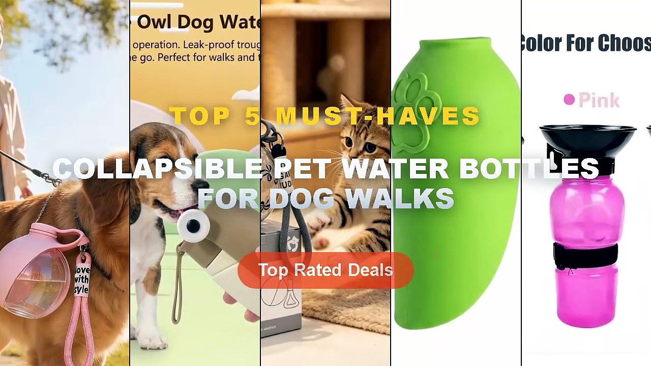 Best Collapsible Pet Water Bottles For Dog Walk...