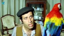 Sahte Kabadayı Türk Filmi _D _ KEMALSUNAL