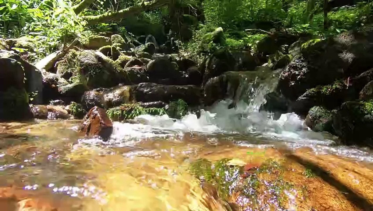 "Bien-être" Eau Mini Chute - Relaxation Détente