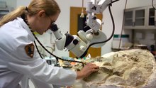 Unidentified Lifeform Baffles Scientists