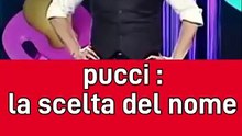 Pucci e la scelta del nome🤣🤣🤣