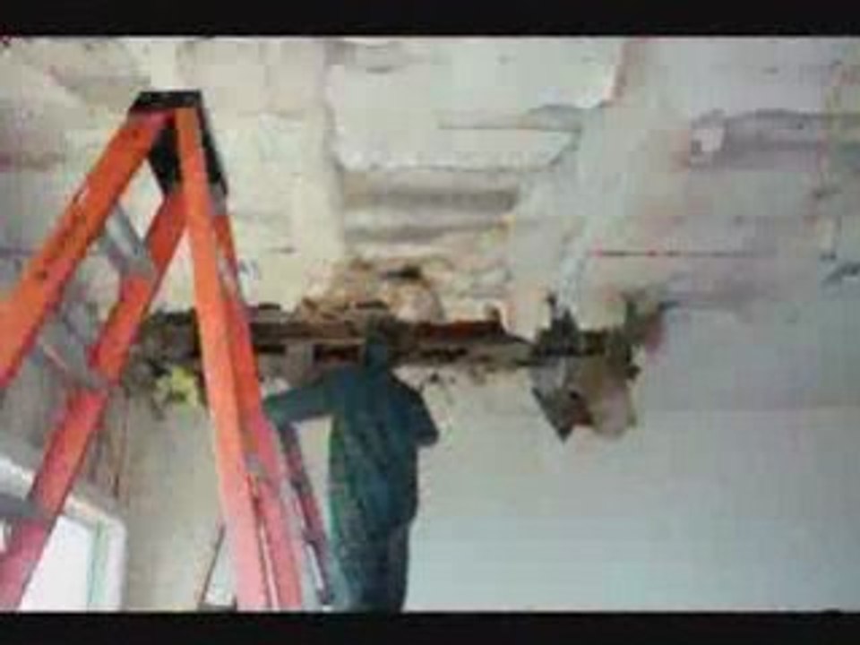 Water Damage Mold Removal Westchester NY