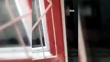 Evde kahkaha attıran keçi paniği kamerada; sosyal medyada MasterChef esprileri patladı!