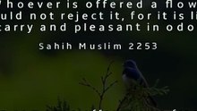 The Prophet ﷺ taught us this beautiful Sunnah. 🌸