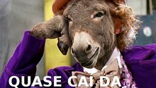 Mula Sarcástica  -  #viral #foryou #engraçado #fyp #humor