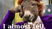 Sarcastic Mule - #viral #foryou #funny #hilarious #fyp #comedy