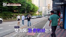 드디어 '찐' 강 훈련사 왔다! 온몸으로 훈련하는 강형욱 훈련사